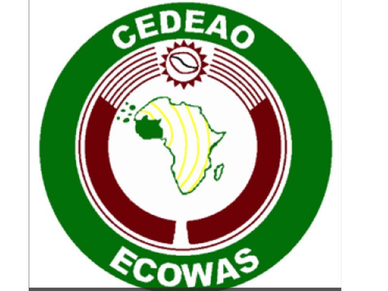 Ecowas officially suspends Niger over coup