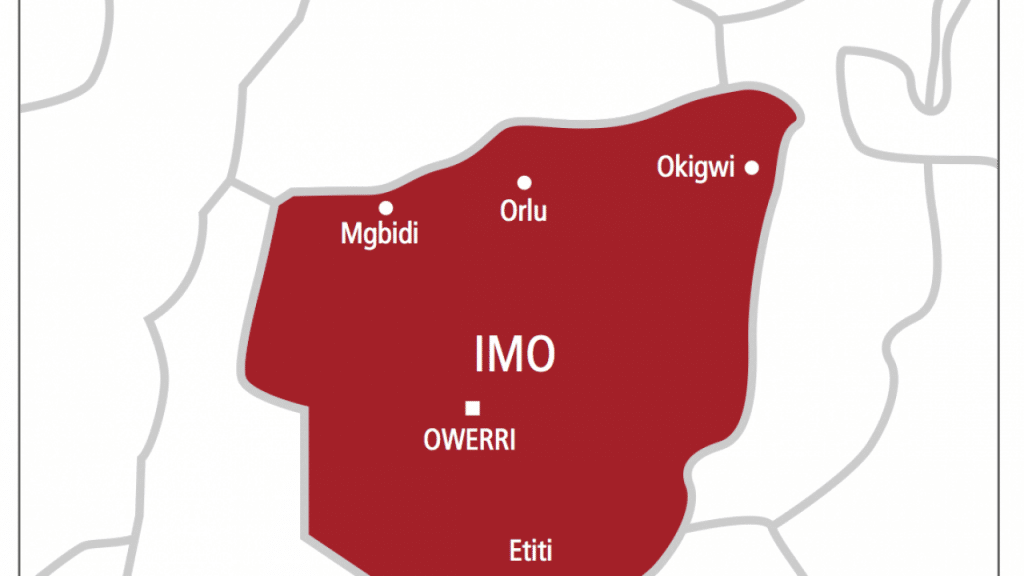 Former Imo Commissioner Sues Police Over Alleged Illegal Detention, Demands ₦5 Million in Damages