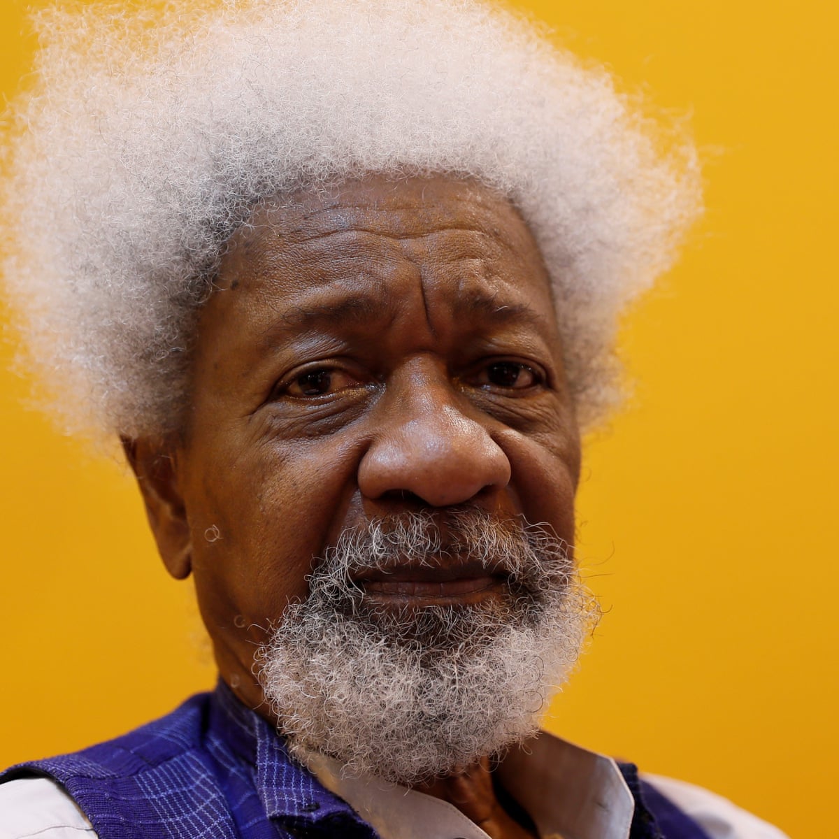 There was plan to annul 2023 presidential election – Soyinka