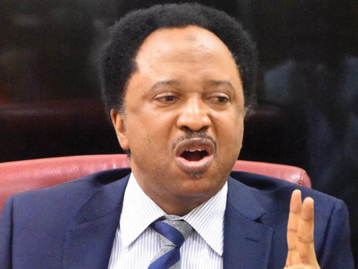 Tinubu’s Foreign Travels Yield Practical Gains, Unlike Past Administrations – Shehu Sani