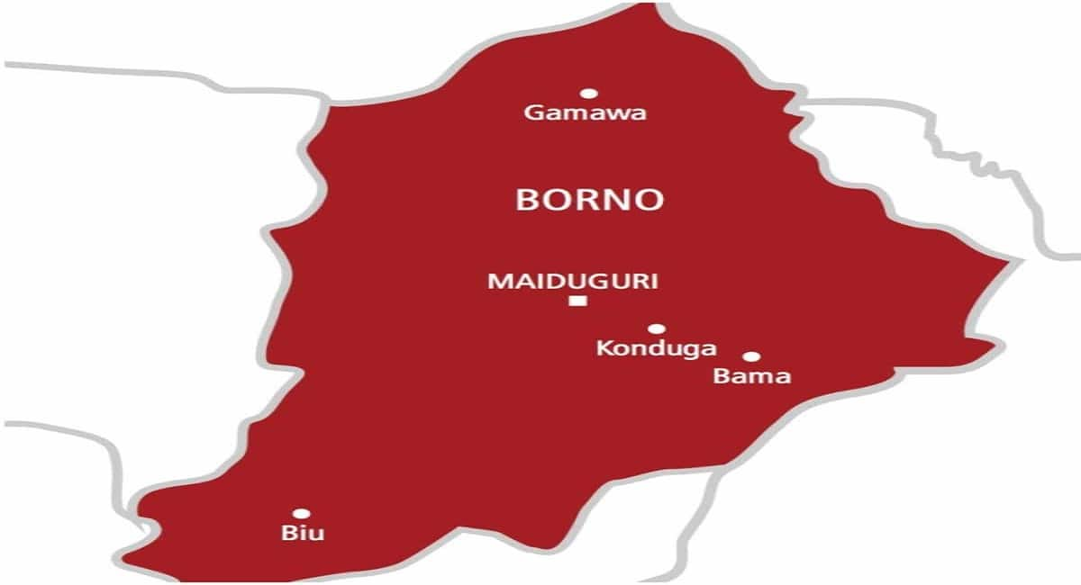 Explosives kill two civilian JTF members in Borno