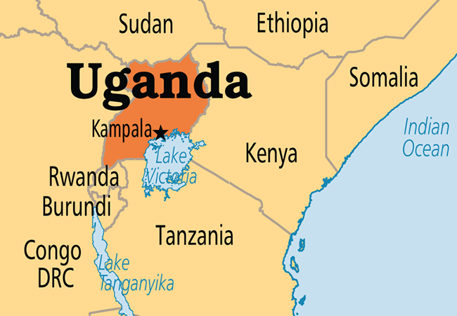 Ugandan helicopter gunship crashes into house