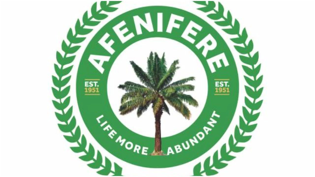 Afenifere seeks FG assistance for Ibadan explosion victims