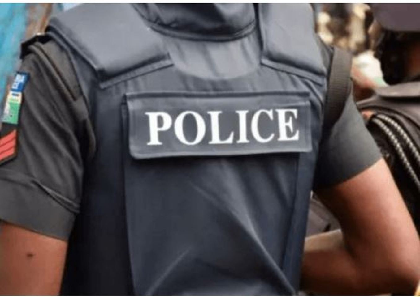 Benue police parade 25 suspects