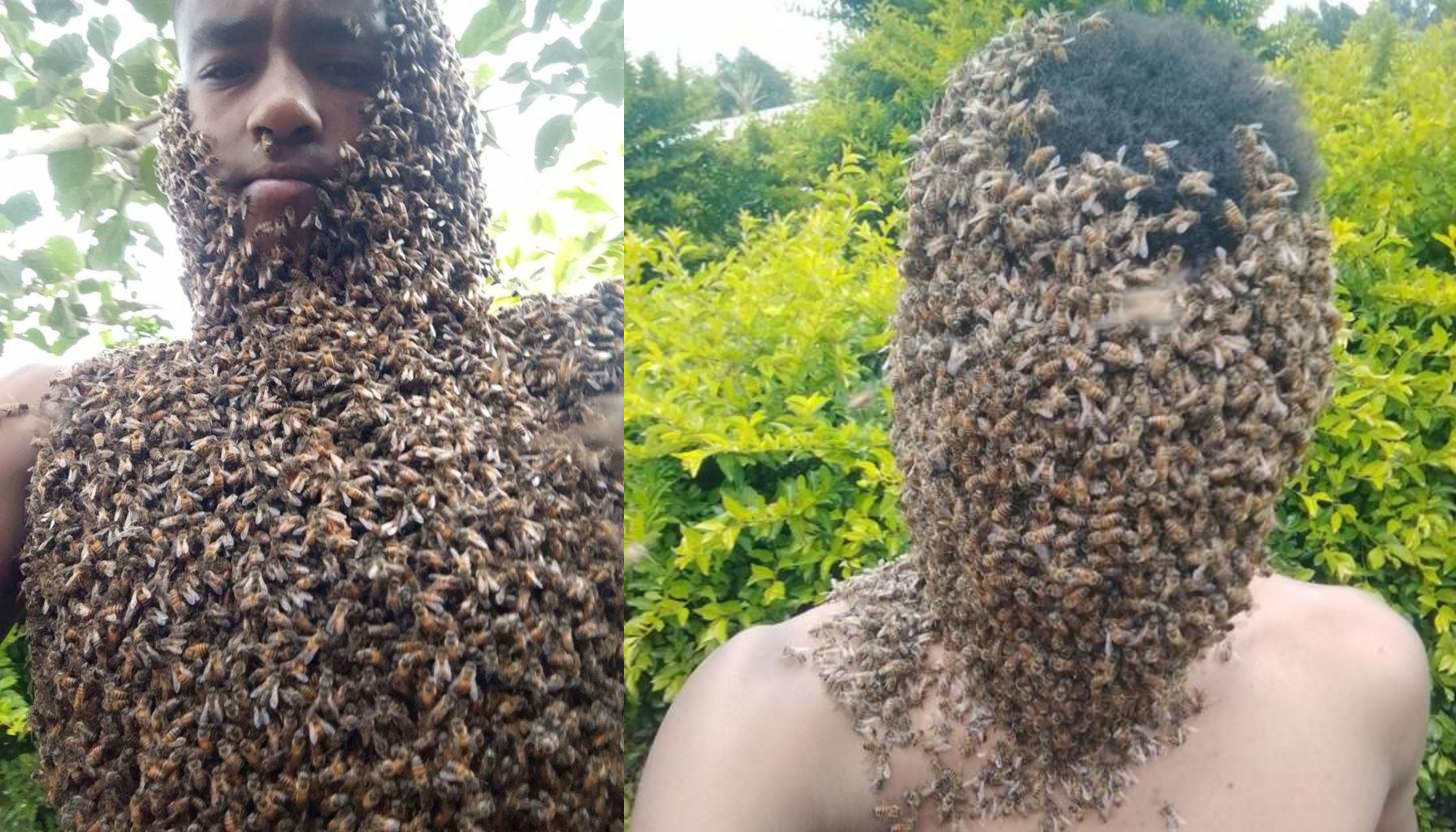 Man who speaks to honey bees, talks about his ‘gift’