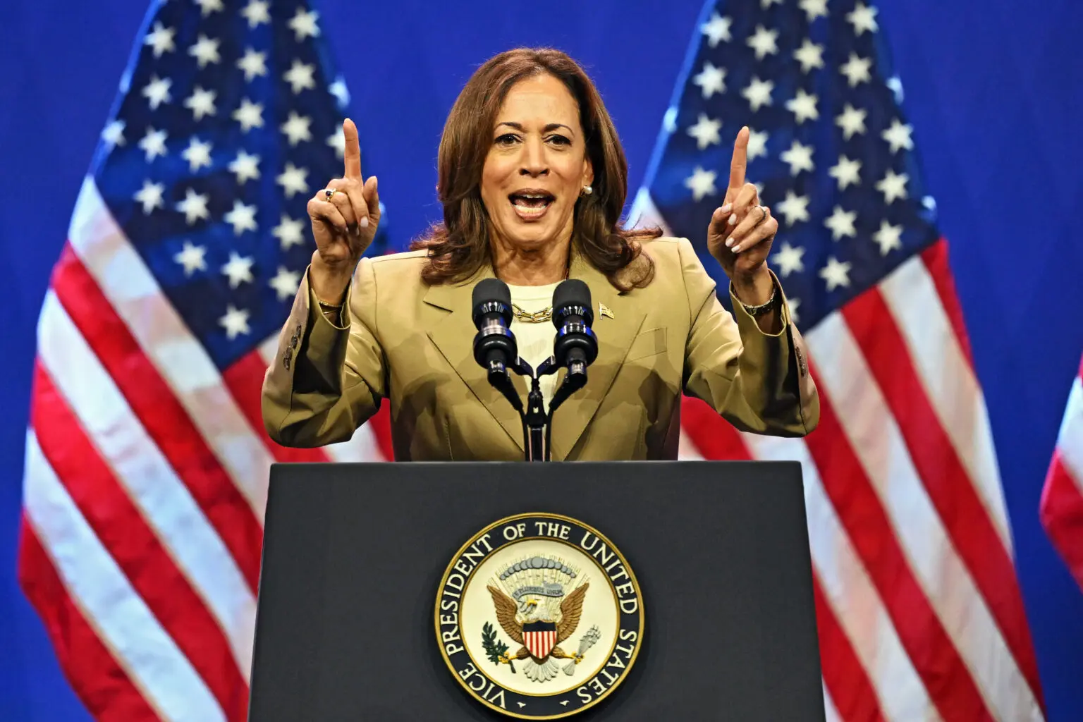 Kamala Harris Secures Democratic Nomination for 2024 Presidential Race